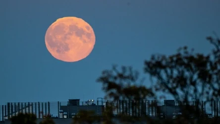 Sierpniowa pełnia Księżyca to jedno z najpiękniejszych zjawisk astronomicznych tego lata