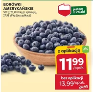 Чорниця Polskie Smaki