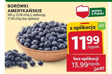 Чорниця Polskie Smaki