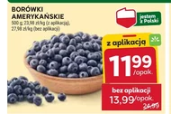 Чорниця Polskie Smaki