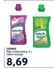 Płyn uniwersalny Ludwik