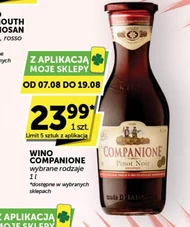 Wino Companione