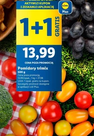 Pomidory Plus-Plus