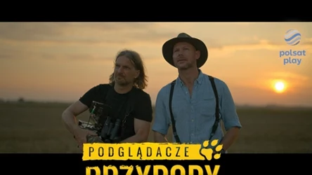 Podglądacze przyrody. Materiały promocyjne Polsat Play