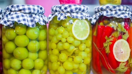 ​Teściowa zbiera w ogrodzie winogrona i pakuje do słoików. Brzmi dziwnie, ale smakują bajecznie