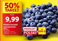 Borówki amerykańskie