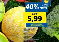 Melon Plus-Plus