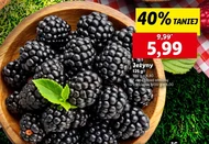 Jeżyny