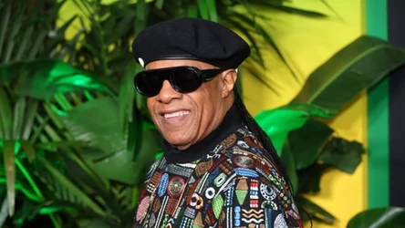 Stevie Wonder