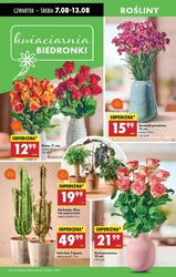 Rozpalamy apetyt na grilla! - Biedronka
