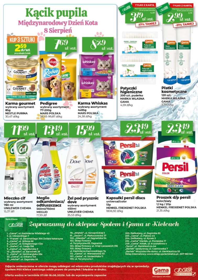 leaflet page preview image