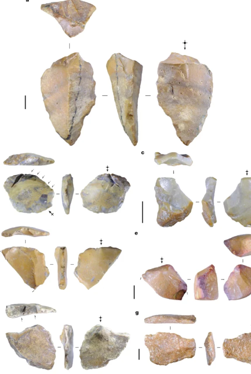 Prehistoryczne narzędzia kamienne o różnorodnych kształtach, wykonane z krzemienia, ukazane z kilku perspektyw oraz w różnych ułożeniach, widoczne wyraźne ślady obróbki.