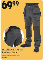 Робочі штани Bluewear