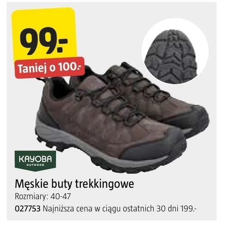 Чоловічі трекінгові черевики Kayoba