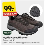 Чоловічі трекінгові черевики Kayoba