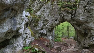 Skalna brama na Szlaku Orlich Gniazd. Gratka dla miłośników przyrody