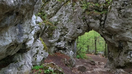 Brama Twardowskiego w Jurze Krakowsko-Częstochowskiej