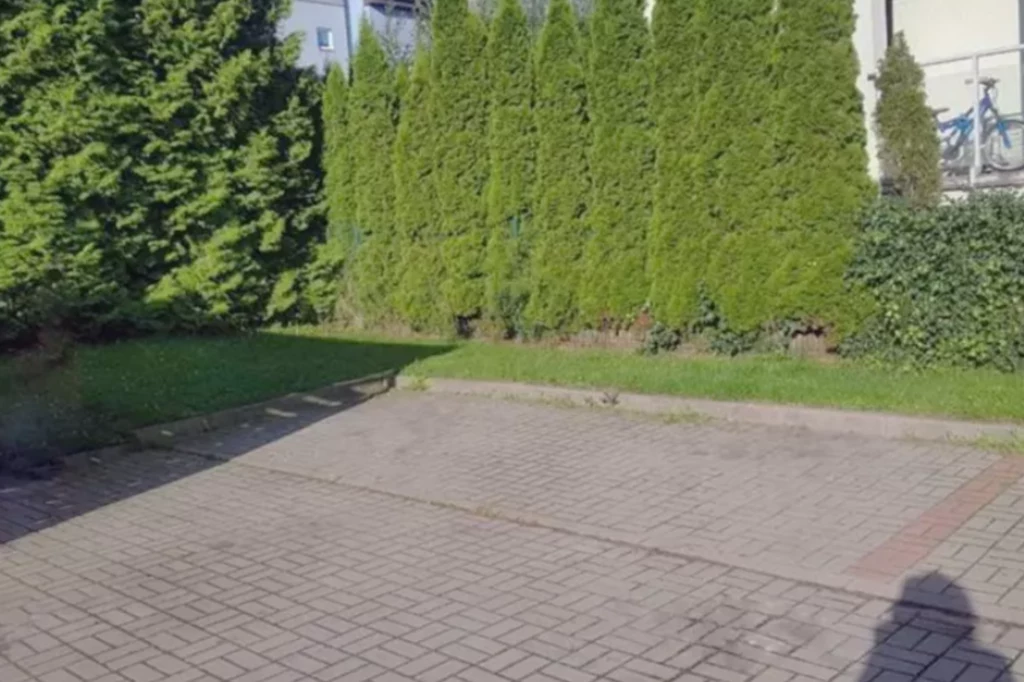 Wyłożony kostką brukową podjazd otoczony wysokimi, gęstymi tujami oraz fragmentem trawnika; w tle widoczny rower oparty o balustradę przy budynku mieszkalnym