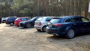 Mandat za parkowanie w lesie. Grzybiarze muszą uważać