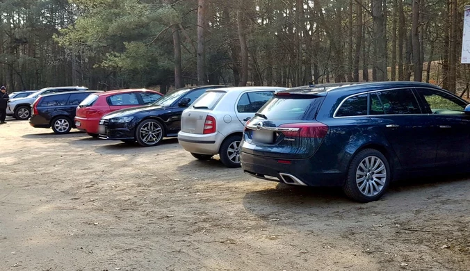 Za parkowanie w lesie można dostać wysoki mandat