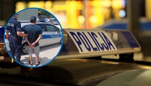 Wjechał rowerem na autostradę i został deportowany. Szybka akcja policji