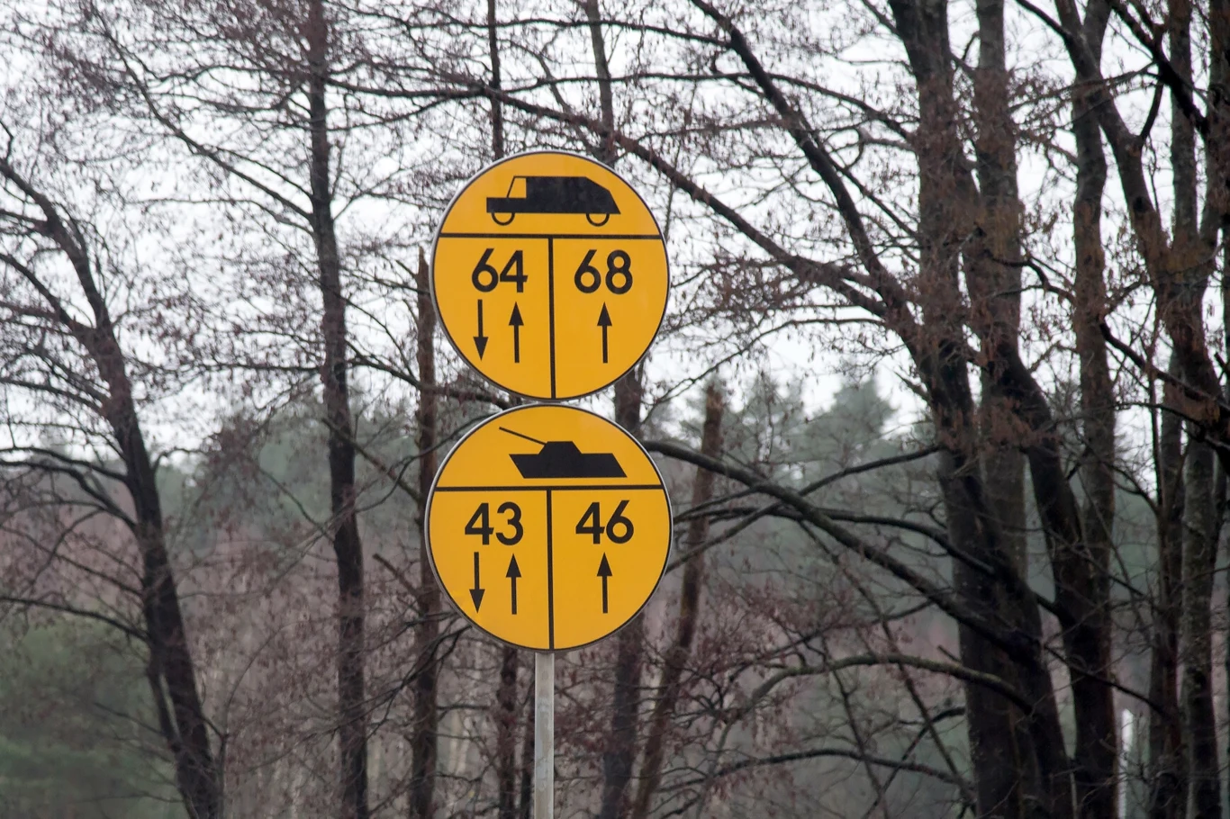 Żółte znaki ostrzegawcze? O co w nich chodzi? Dwa okrągłe żółte znaki drogowe z czarnymi symbolami pojazdów wojskowych na tle lasu, informujące o dopuszczalnej masie pojazdów takich jak czołgi i transportery wojskowe.