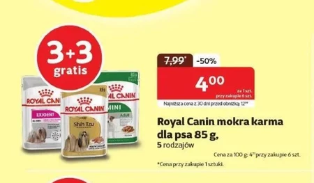 Karma dla psa Royal Canin