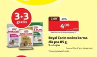 Корм для собак Royal Canin