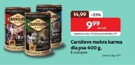 Karma dla psa Wild Turkey