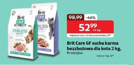 Karma dla kota Brit Care