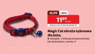 Нашийник для кота Magic cat