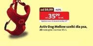 Шлейка для собак Active dog