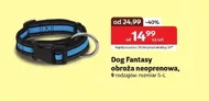 Нашийник Dog Fantasy