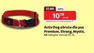 Собачий нашийник Active dog