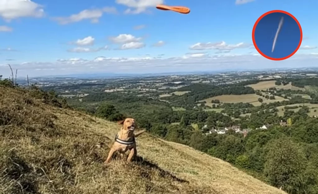Poszedł z psem na spacer. Uchwycił tajemniczy obiekt na niebie.