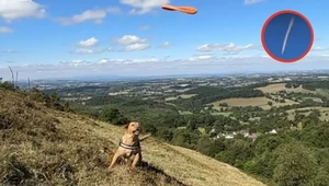 Poszedł z psem na spacer. Uchwycił tajemniczy obiekt na niebie