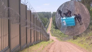 Niecodzienna sytuacja na granicy. Tak migranci chcieli wkroczyć do Polski