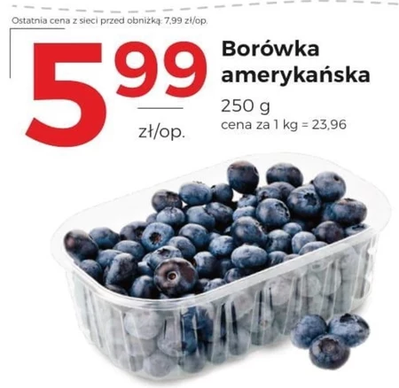 Чорниця