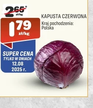 Червонокачанна капуста