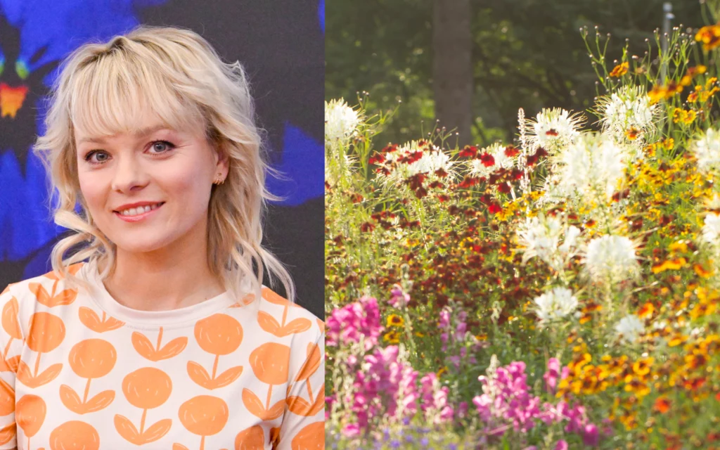 Kasia Joda radzi, jakie kwiaty sadzić w sierpniu, aby ogród zachwycał na koniec lata i jesienią