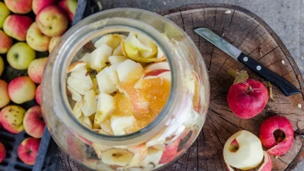 To sposób na naturalne wsparcie organizmu