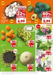 Mocny Start- Kaufland