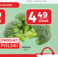 Brokuł