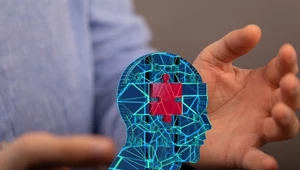 Illinois zakazuje terapii AI. Kary za diagnozę od ChataGPT