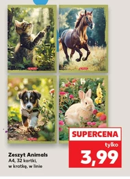Zeszyt Animals