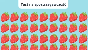 Test na bystre oko. Która truskawka jest podmieniona?