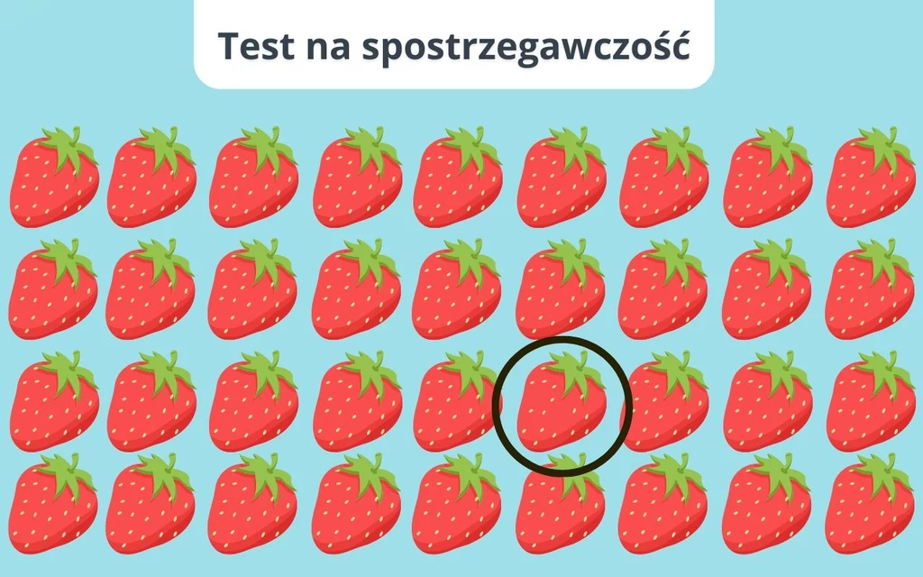 Poprawne rozwiązanie Rysunkowe, powtarzalne truskawki na błękitnym tle, jedna z nich otoczona czarnym okręgiem wskazującym różnicę, napis 'Test na spostrzegawczość' u góry.