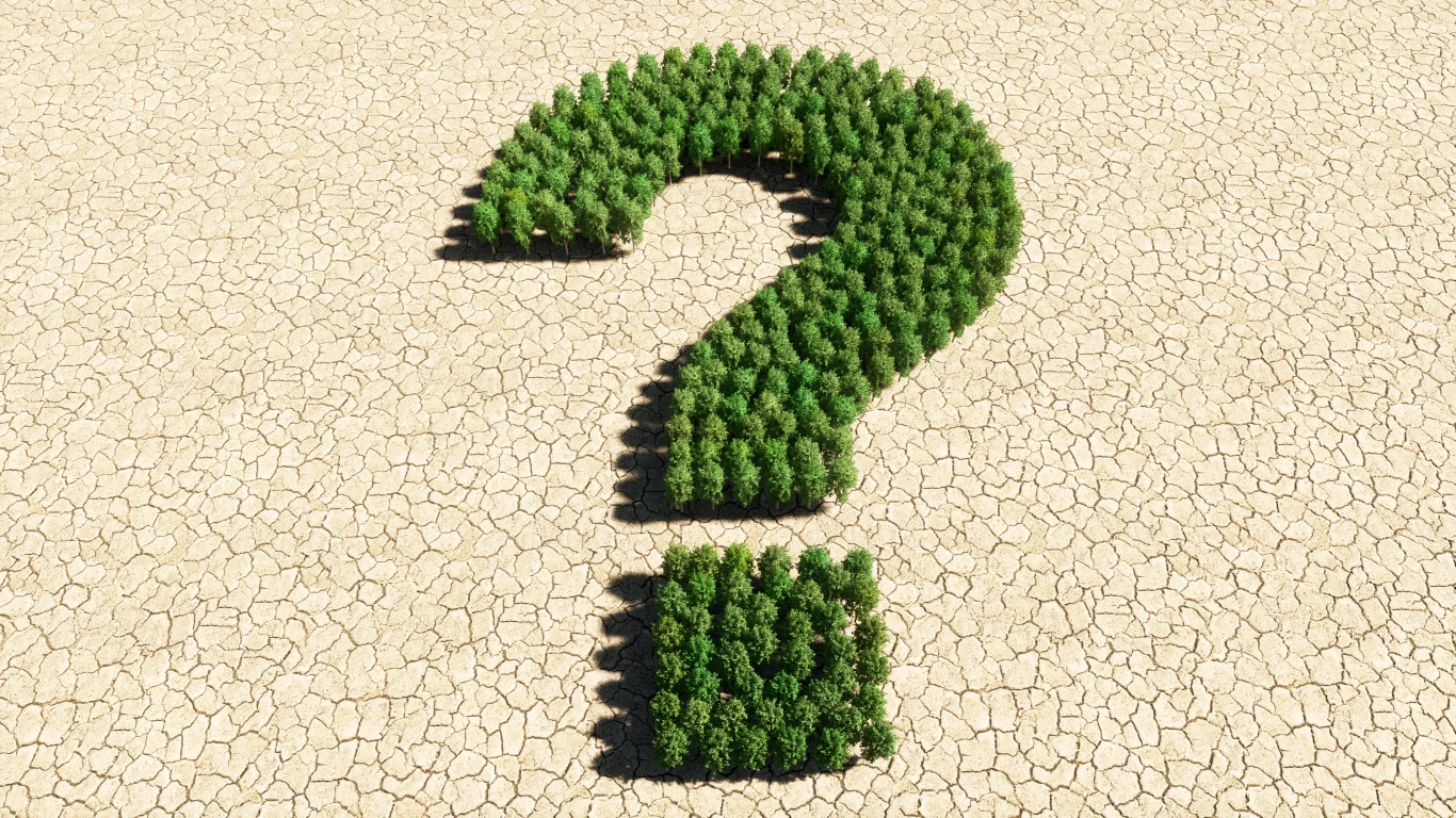 Tylko mistrz odpowie na wszystkie pytania dotyczące historii, przyrody, sportu i innych wydarzeń związanych z sierpniem. Grupa zielonych drzewek ułożona w kształt znaku zapytania na tle spękanej, wysuszonej ziemi.