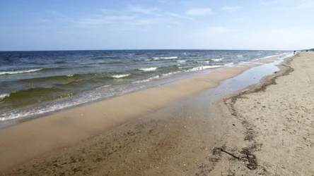 Morze Bałtyckie i plaża w Jantarze