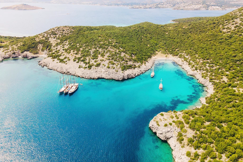 Bodrum to propozycja dla osób ceniących styl i elegancję Turkusowa zatoka otoczona zielonymi, porośniętymi roślinnością wzgórzami, w spokojnej wodzie zakotwiczone trzy jachty, a w głębi widoczna linia brzegowa oraz miasto.
